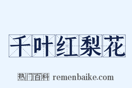 千叶红梨花是什么意思的图片